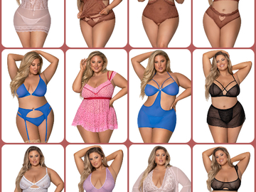Bulk Lots: PLSPAK10 - Plus Size' Lingerie Package - Ships in 1 Day!