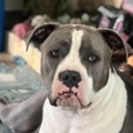   : Athena