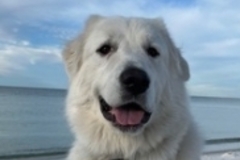   : Abby