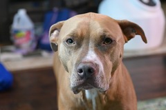   : Sophie