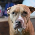   : Sophie