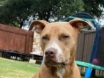   : Sophie