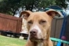   : Sophie