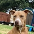   : Sophie