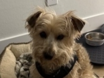   : Milo