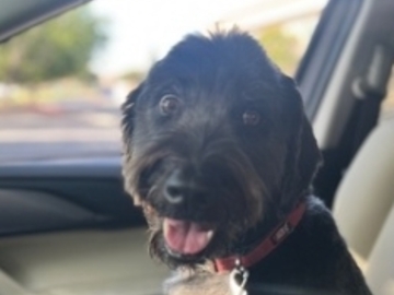   : Sebastian
