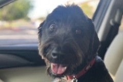   : Sebastian