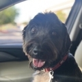   : Sebastian