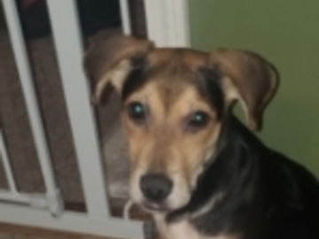   : Ellie