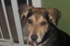   : Ellie