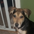  : Ellie