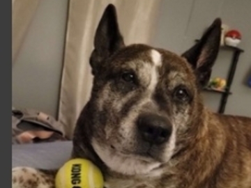   : Max