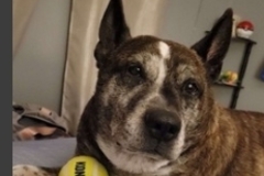   : Max