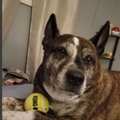   : Max