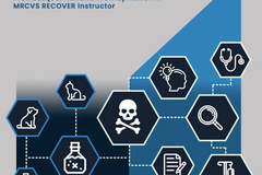 Kurs: Toksykologia Kliniczna Psów i Kotów