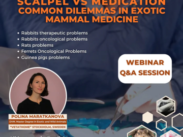 Kurs: Scalpel vs Medication