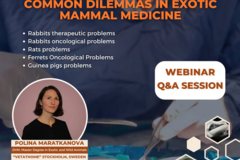 Kurs: Scalpel vs Medication