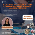 Kurs: Scalpel vs Medication
