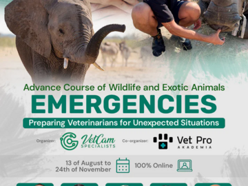 Kurs: Advance Course of Wildlife and Exotic Animals Emergencies