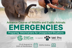 Kurs: Advance Course of Wildlife and Exotic Animals Emergencies
