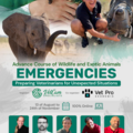 Kurs: Advance Course of Wildlife and Exotic Animals Emergencies