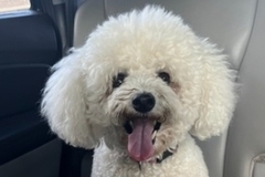   : Lucy