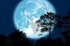 Selling: JULY 2025 FULL MOON POWER SPELL; Powerful Premium Spell Cast.