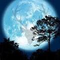 Selling: JULY 2025 FULL MOON POWER SPELL; Powerful Premium Spell Cast.