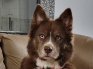   : Athena
