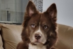   : Athena