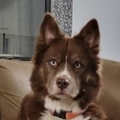  : Athena