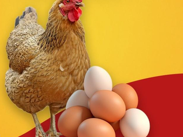 Selling with In-person Payment: Organic Free Range 