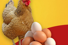 Selling with In-person Payment: Organic Free Range 
