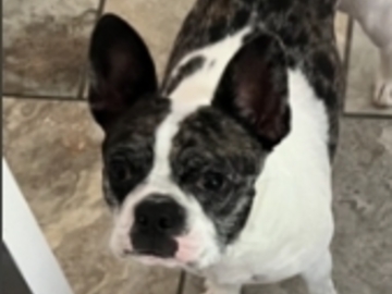   : Zoe