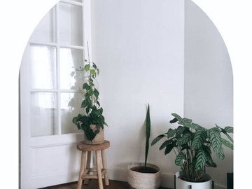 Vente: Vente de plantes pour cause déménagement