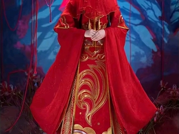 In Search Of: Xie Lian Bride Cosplay - Heaven Official's Blessing / TGCF 