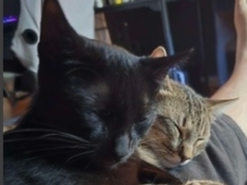   : Buster and Renfield