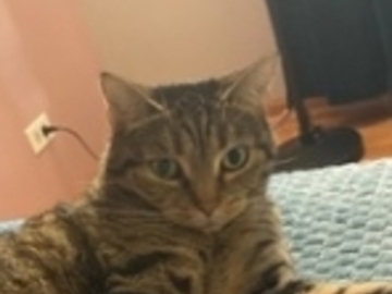   : Reggie
