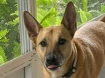   : Lilitha