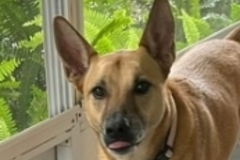   : Lilitha