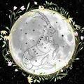 Selling: FULL MOON SPELL FOR COMMITMENT AND HONESTY & FREE READING 