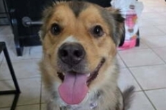   : Lola 