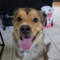   : Lola 