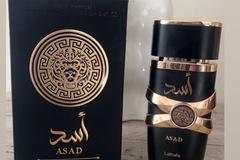 Bulk Lots: Lattafa Asad