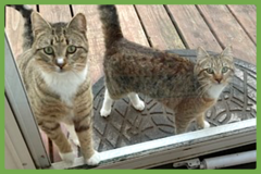  : Chalky and Rusti