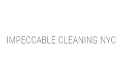 Skills: Impeccable Cleaning NYC