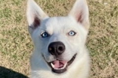   : Coby