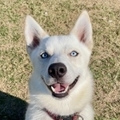   : Coby