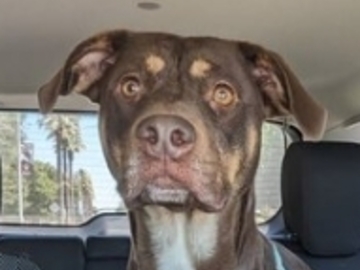   : Fiona