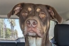   : Fiona
